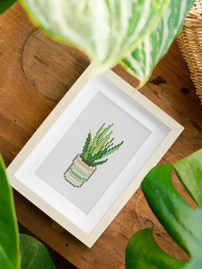 Set of 12 Potted Plants - Mini Diamond Painting Kits