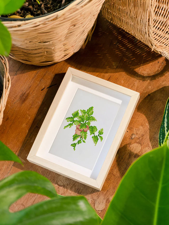 Set of 12 Potted Plants - Mini Diamond Painting Kits