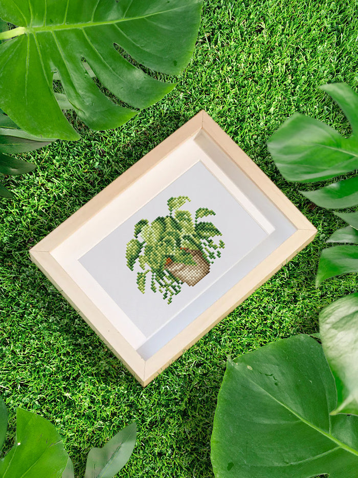 Set of 12 House Plants - Mini Diamond Painting Kits