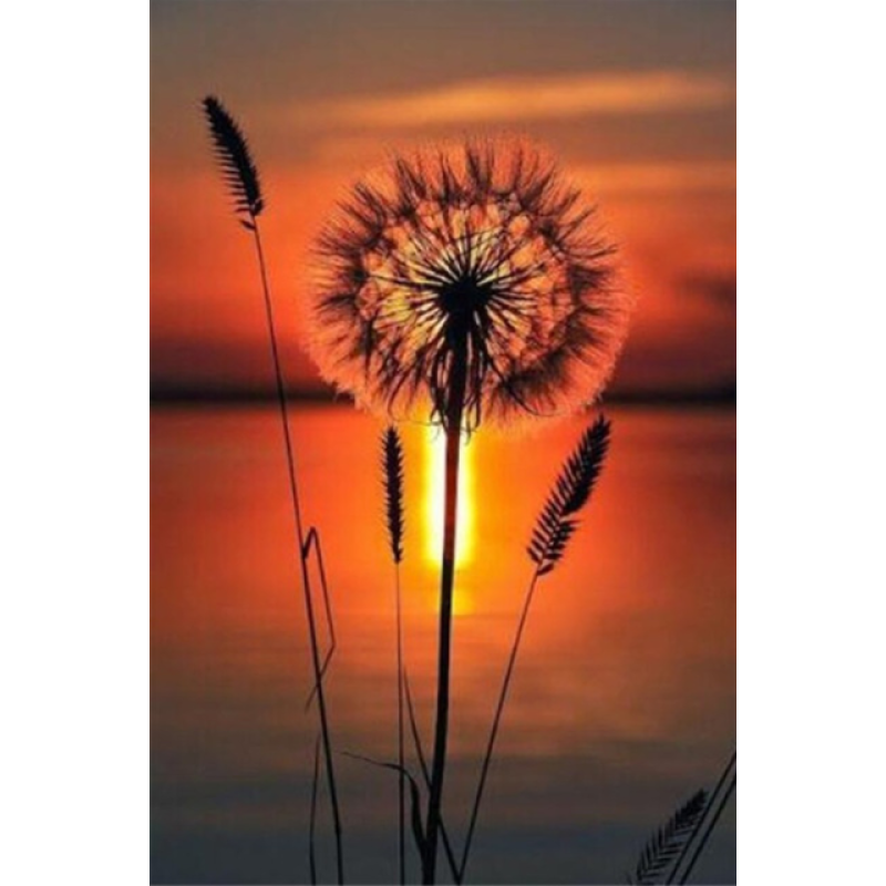 Full Drill - 5D DIY Diamond Painting Kits Sunset Scene Beautiful Dandelion - NEEDLEWORK KITS