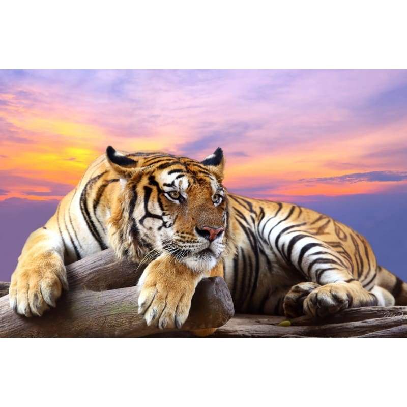 Pattern Tiger Full Drill - 5D Diy Diamond Painting Kits - NEEDLEWORK KITS