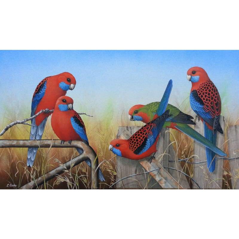 Crimson Rosellas Full Drill Diamond Painting Kit Australia Diamond