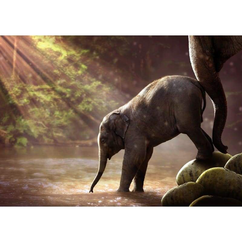 Baby Elephant 2 - Full Drill Diamond Painting - Special
