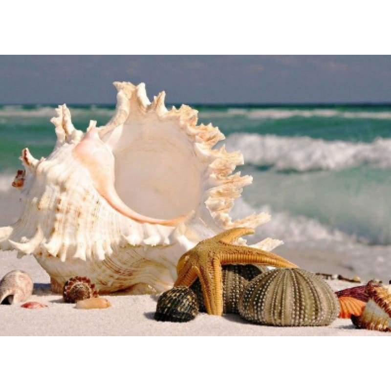 Beach Collection 09 - Full Drill Diamond Painting - Special