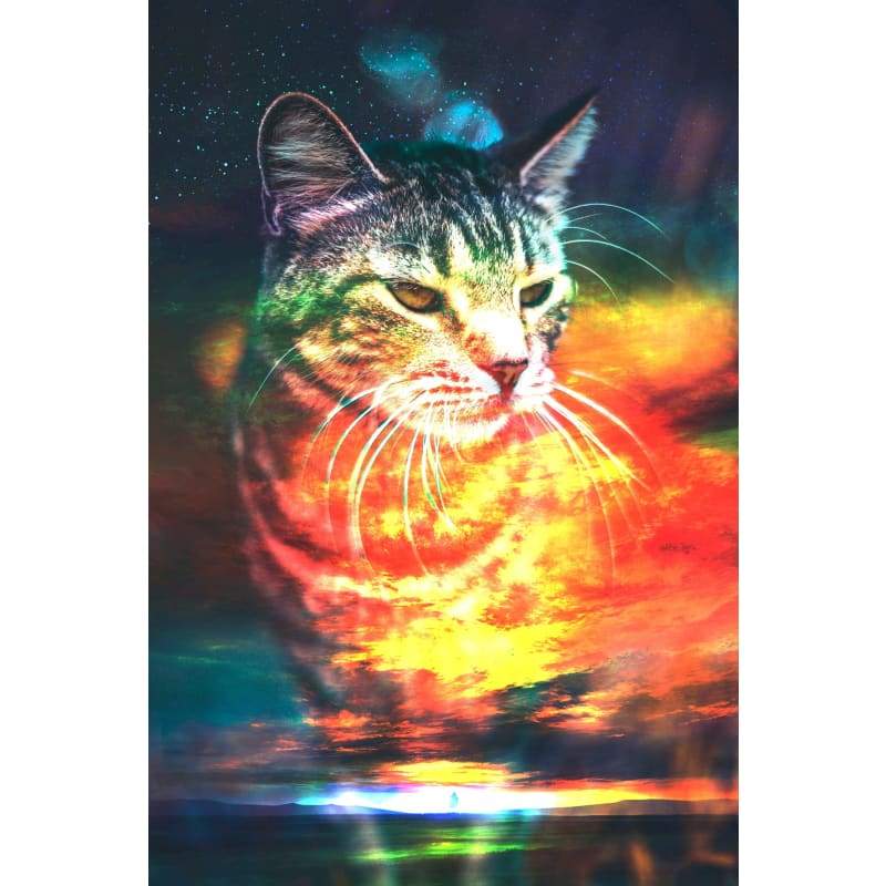Cat 01- Full Drill Diamond Painting - Special Order - Full