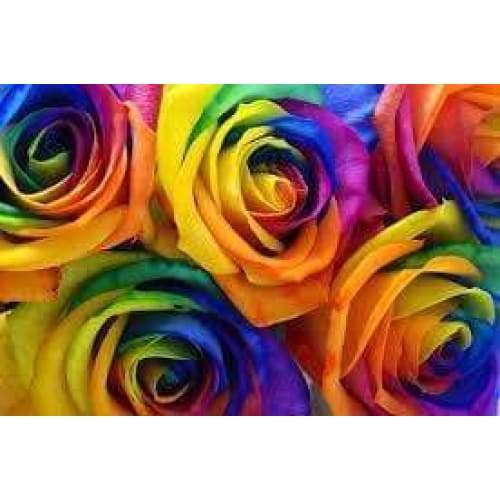 Colourful Roses - Full Drill Diamond Painting Abstract -