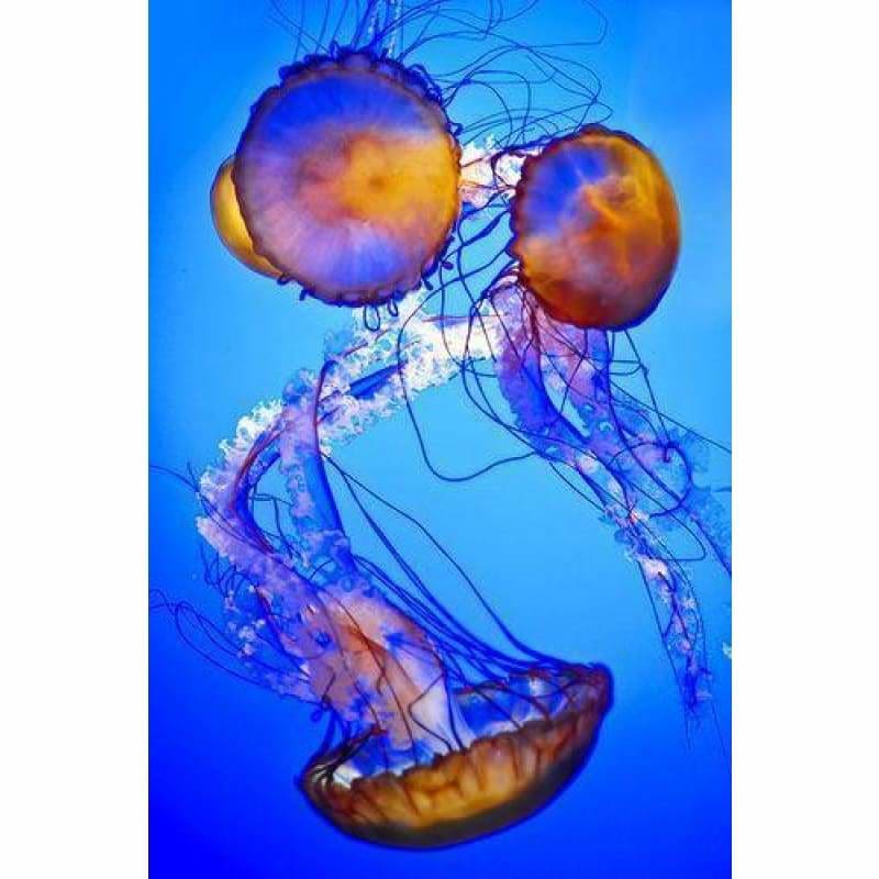 Full Drill - 5D DIY Diamond Painting Kits Fantastic Jellyfishs - NEEDLEWORK KITS