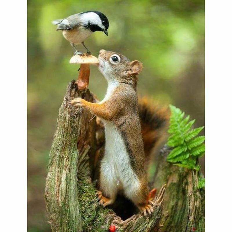 Full Drill - 5D DIY Diamond Painting Kits Cute Squirrel and