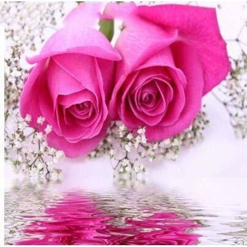 Full Drill - 5D DIY Diamond Painting Kits Dream Color