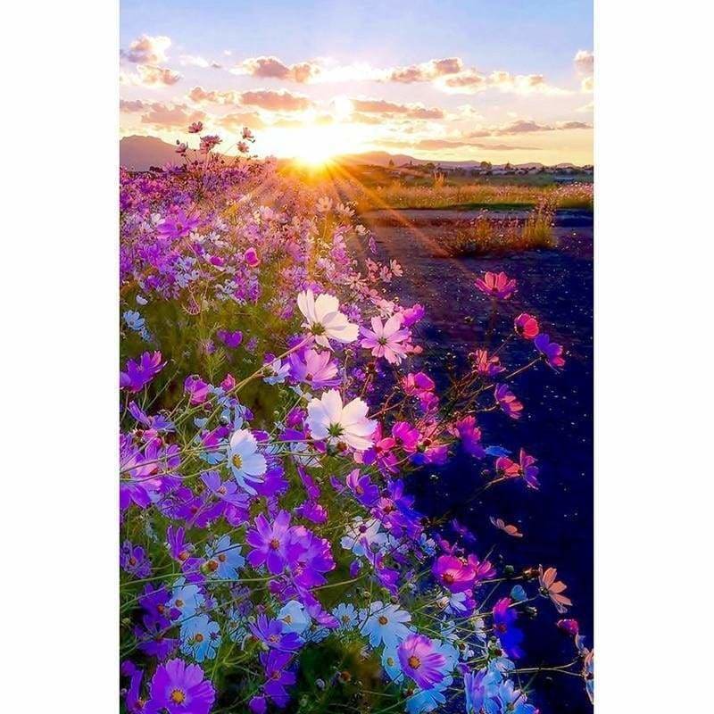 Full Drill - 5D DIY Diamond Painting Kits Sunset Morning