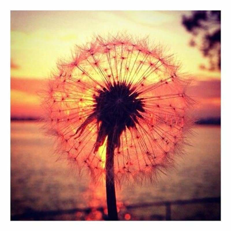 Full Drill - 5D DIY Diamond Painting Kits Wind Dandelion