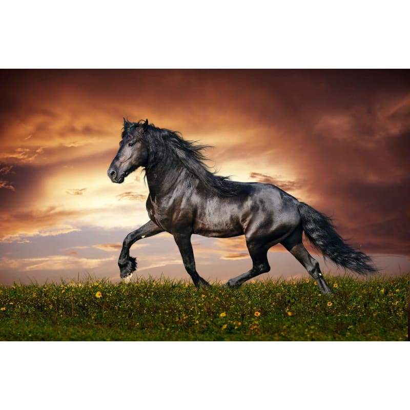 Horse G- Full Drill Diamond Painting - Special Order - Full