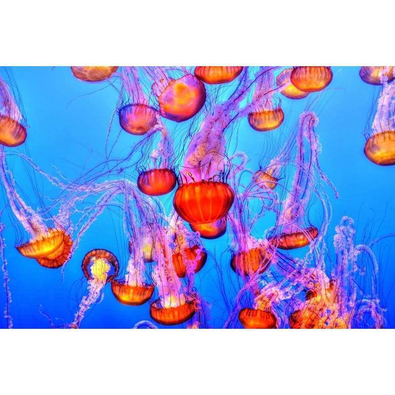 Jellyfish- Full Drill Diamond Painting - Special Order -