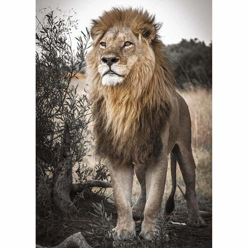 Lion Full Drill - 5D Diy Diamond Painting Kits Mosaic - Z3