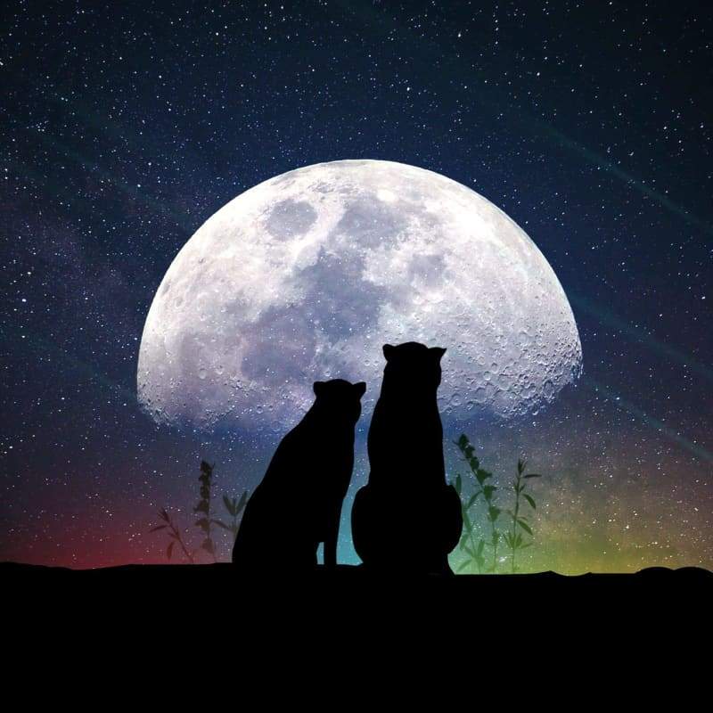 Moon Love- Full Drill Diamond Painting - Special Order -