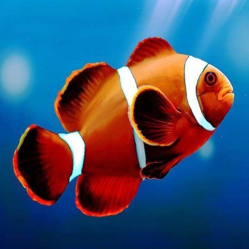 New Hot Sale Fish In Water Full Drill - 5D Diy Diamond