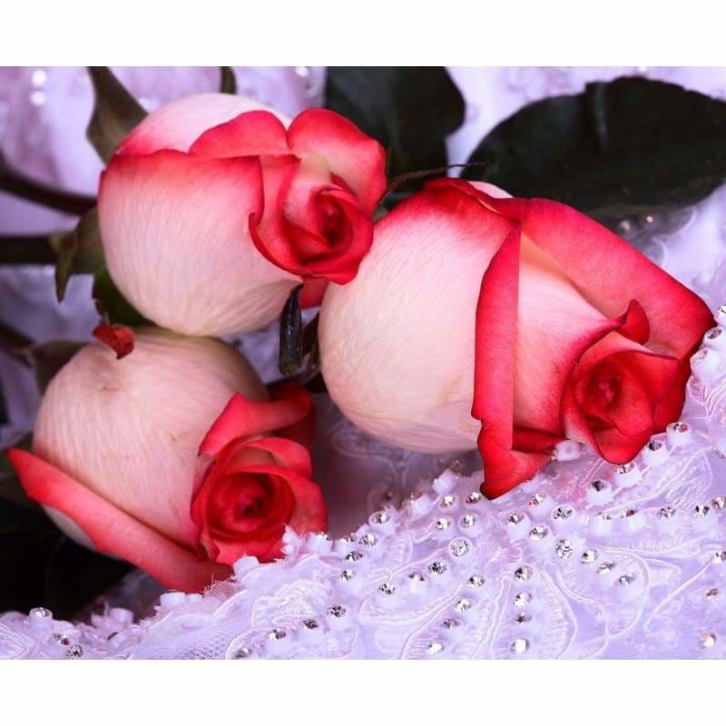 New Hot Sale Flower Pattern Full Drill - 5D Diy Diamond