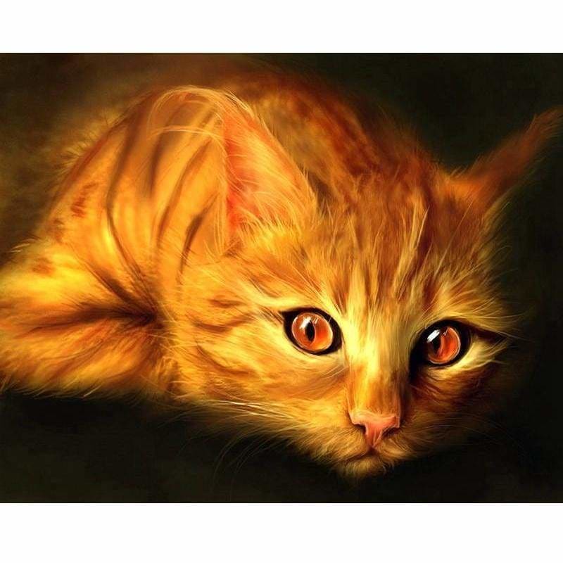 New Hot Sale Pet Cute Cat Picture Full Drill - 5D Diy