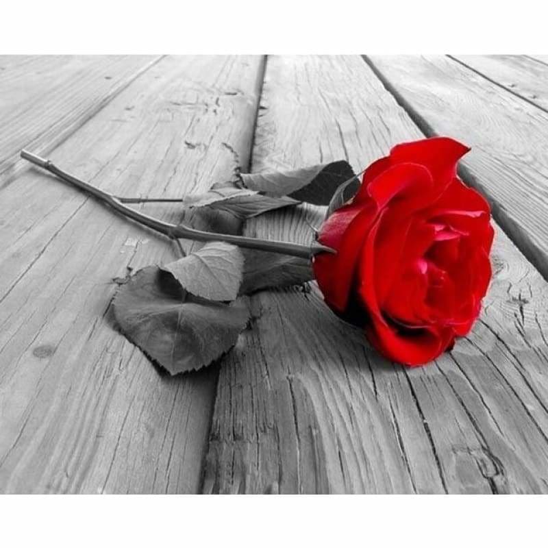 New Hot Sale Red Rose Full Drill - 5D Diy Diamond Painting