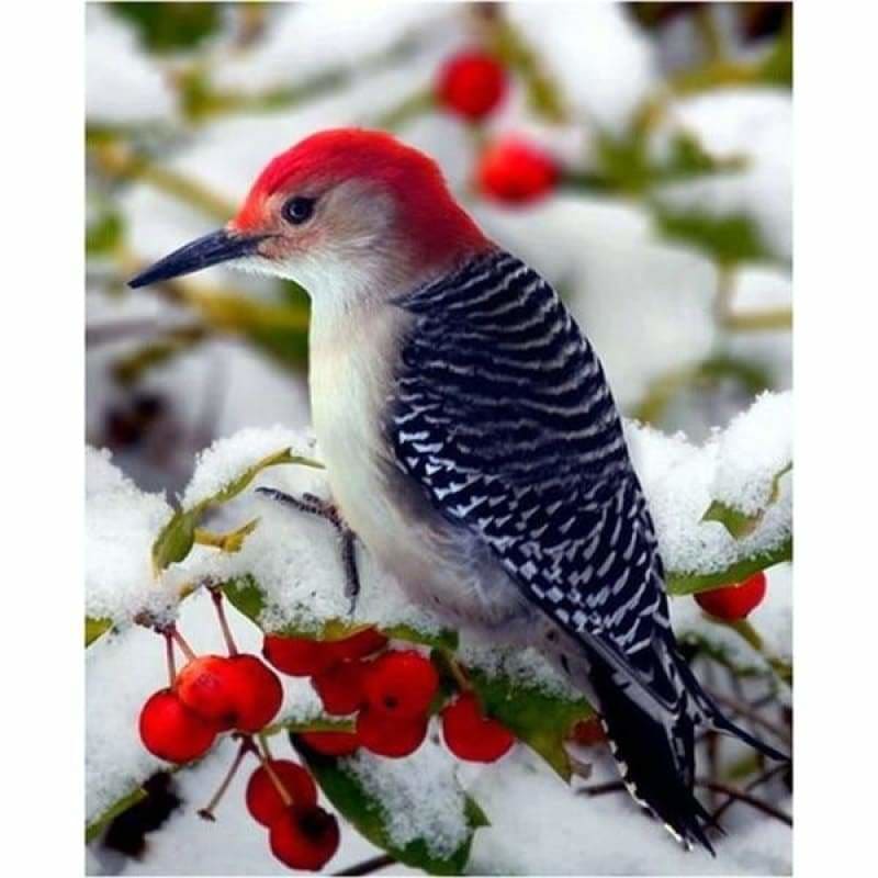 Red Headed Bird Full Drill - 5D Diy Diamond Painting Kits