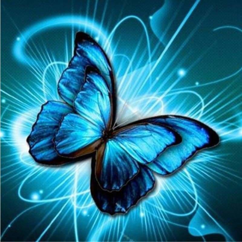 Special Beautiful Blue Butterfly Picture Patterns Diamond