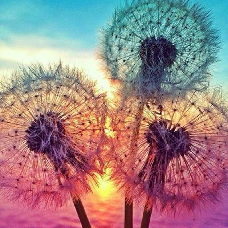 2019 Dream Popular Modern Art Colorful Dandelions Diamond Embroidery VM1083 - NEEDLEWORK KITS