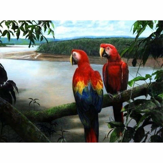 Full Square Drill Cute Parrot Full Drill - 5D Diy Diamond Painting Kits NA0092 - NEEDLEWORK KITS