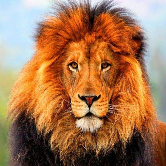 Hot Sale Animal Lion Full Drill - 5D Diy Crystal Painting Kits VM7317 - NEEDLEWORK KITS