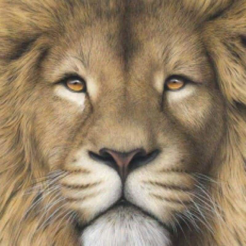 Full Drill - 5D DIY Diamond Painting Kits Cartoon Lion Face - NEEDLEWORK KITS