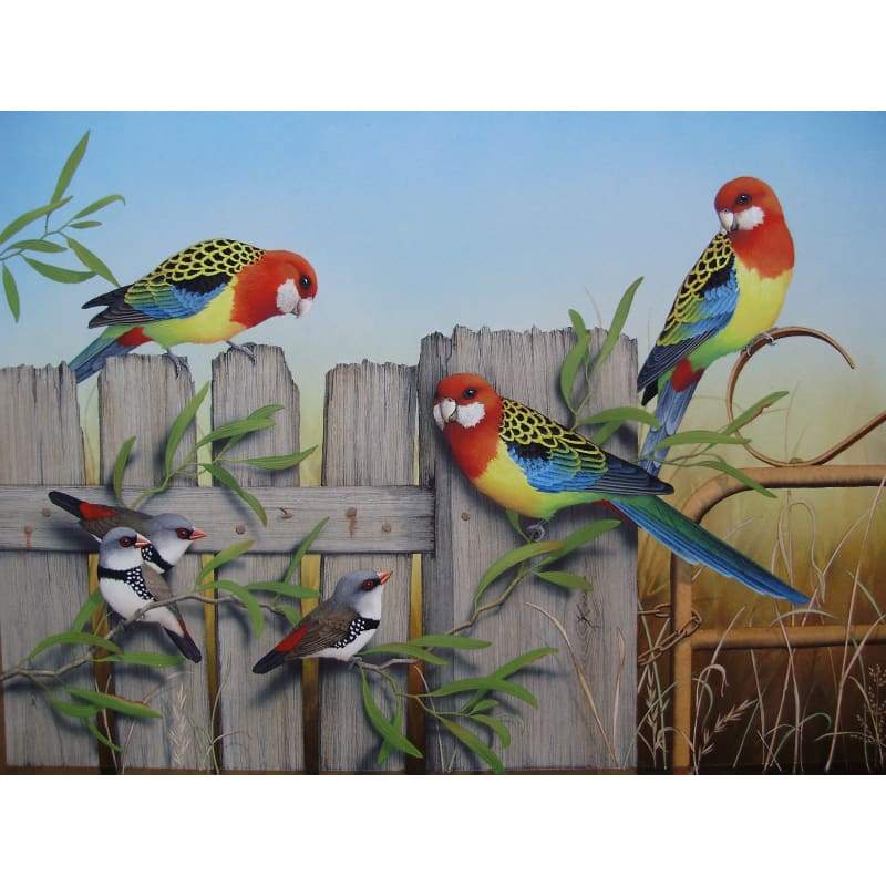 Eastern Rosellas & Firetails - Full Drill diamond painting - NEEDLEWORK KITS