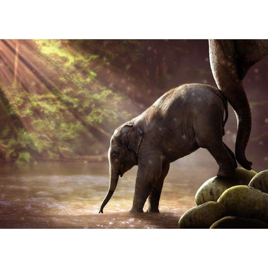 Baby Elephant 2 - Full Drill Diamond Painting - Special 