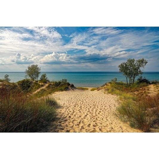 Beach Path - Full Drill Diamond Painting - Special Order -