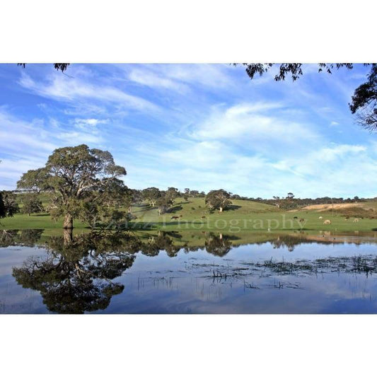 Beautiful Paddock - Full Drill Diamond Painting - NEEDLEWORK KITS