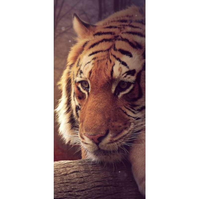 Big Tiger - Full Drill Diamond Painting - Special Order - 