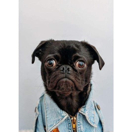 Black Dog 01- Full Drill Diamond Painting - Special Order -