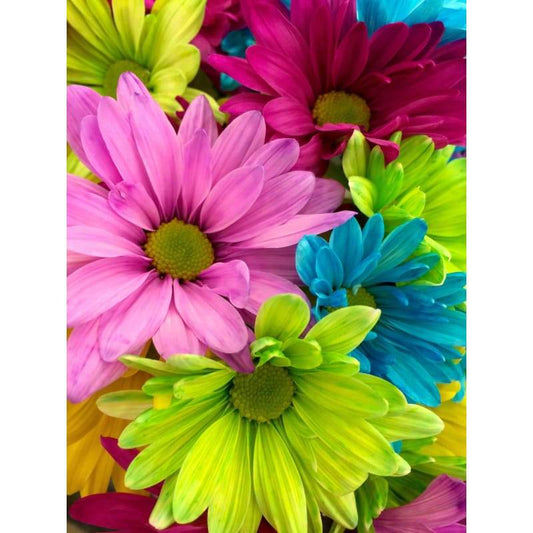 Bloom Close Up Colourful - Full Drill Diamond Painting