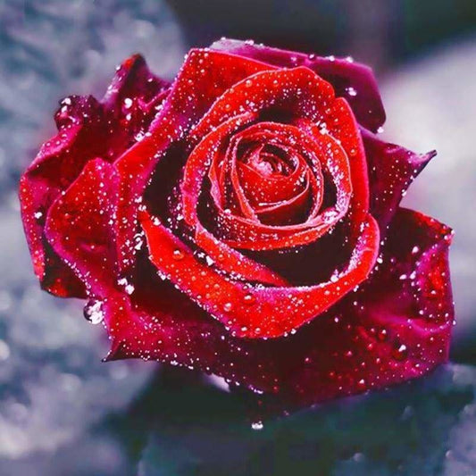 Dream Red Rose Full Drill - 5D Diy Diamond Painting Flowers