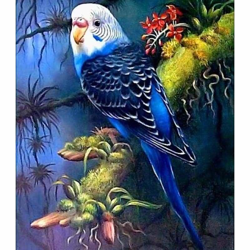 Full Drill - 5D Diamond Painting Kits Cute Bird Parrot on 