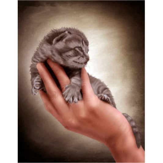Full Drill - 5D Diamond Painting Kits Cute Cat Baby In Hand