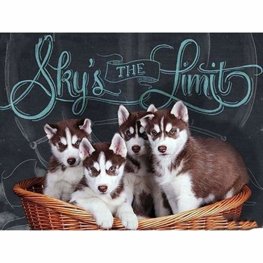 Full Drill - 5D Diamond Painting Kits Cute Dogs - 3