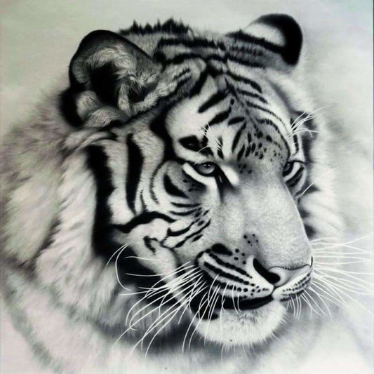 Full Drill - 5D DIY Diamond Painting Kits Black And White