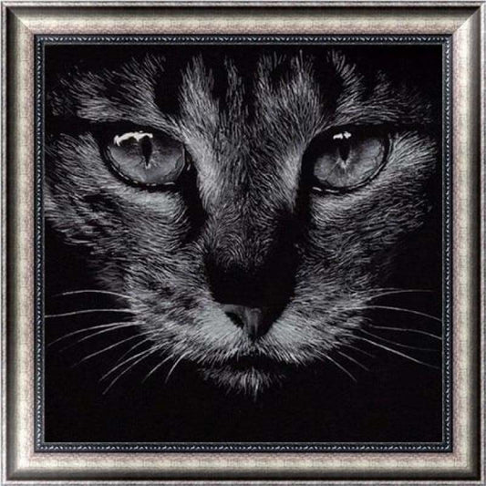 Full Drill - 5D DIY Diamond Painting Kits Black White Cat