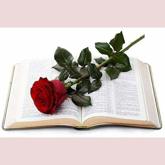 Full Drill - 5D DIY Diamond Painting Kits Book & Red Rose -