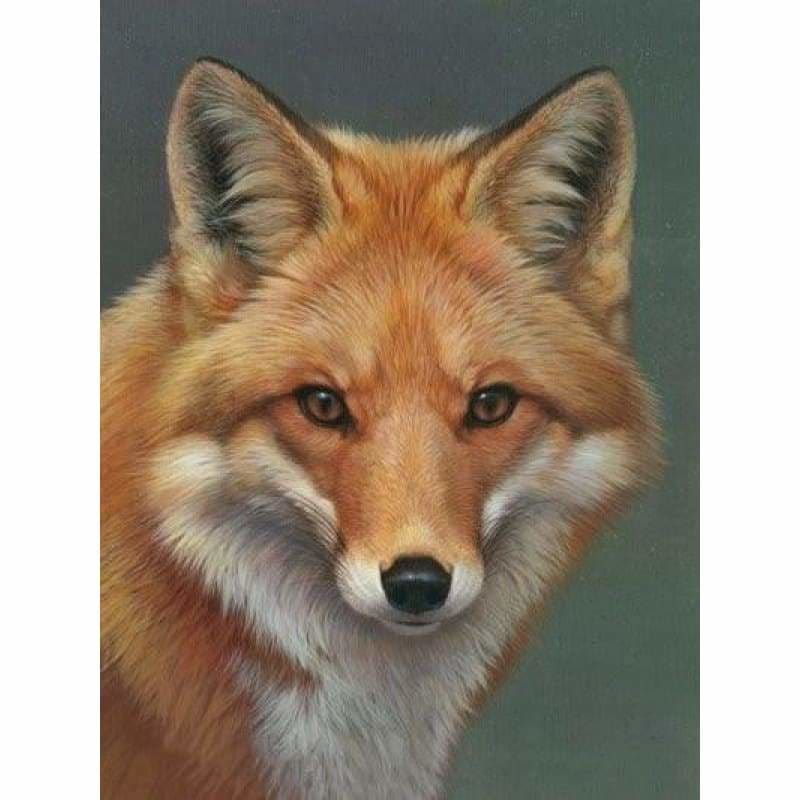 Full Drill - 5D DIY Diamond Painting Kits Cartoon Cool Fox -