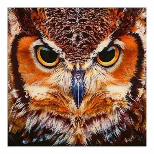 Full Drill - 5D DIY Diamond Painting Kits Cartoon Cool Owl