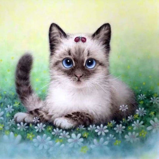 Full Drill - 5D DIY Diamond Painting Kits Cartoon Cute Cat