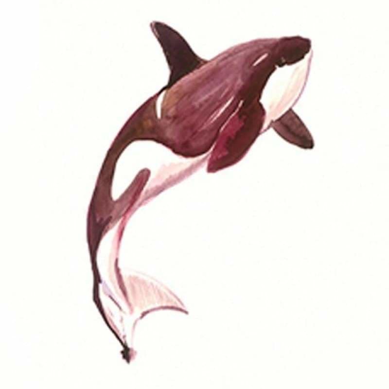 Full Drill - 5D DIY Diamond Painting Kits Cartoon Dolphin