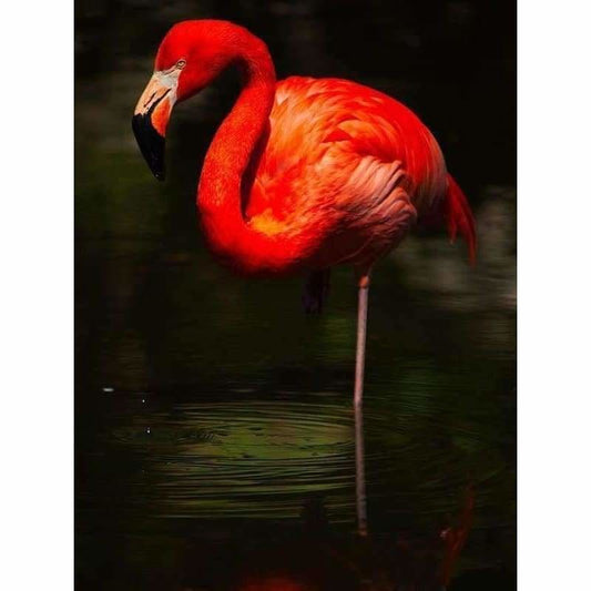 Full Drill - 5D DIY Diamond Painting Kits Cartoon Red Flamingo - NEEDLEWORK KITS