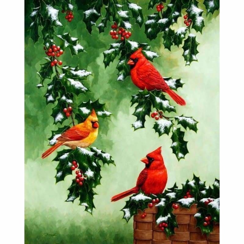 Full Drill - 5D DIY Diamond Painting Kits Cartoon Snow Birds