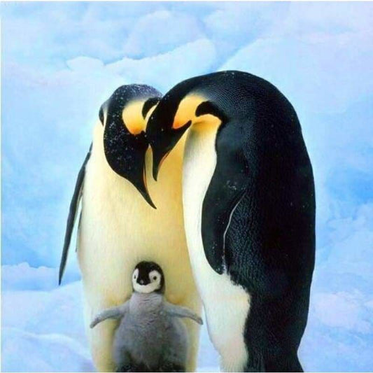 Full Drill - 5D DIY Diamond Painting Kits Cartoon Special